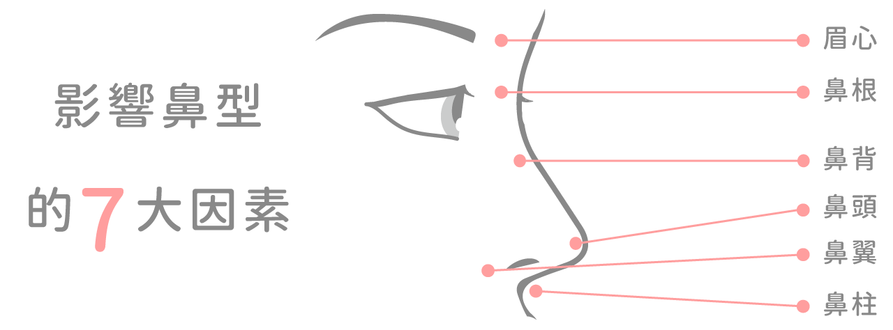 影響鼻型7大因素
